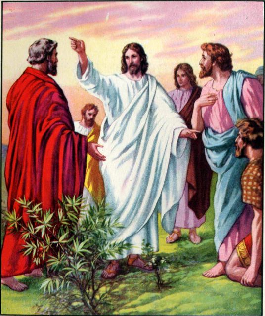 Mat1001-10 Jesus Sends Out the Disciples.jpg