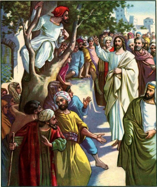 Luk1902-05 Zacchaeus in the Scyamore Tree.jpg