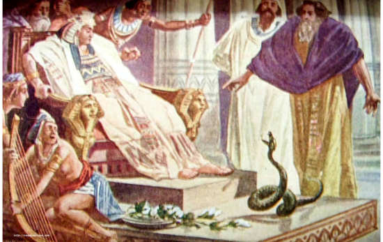 Exo0710 The rod transformed.jpg