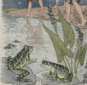 The Boys and the Frogs.jpg