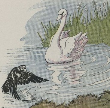 A Raven and a Swan.jpg