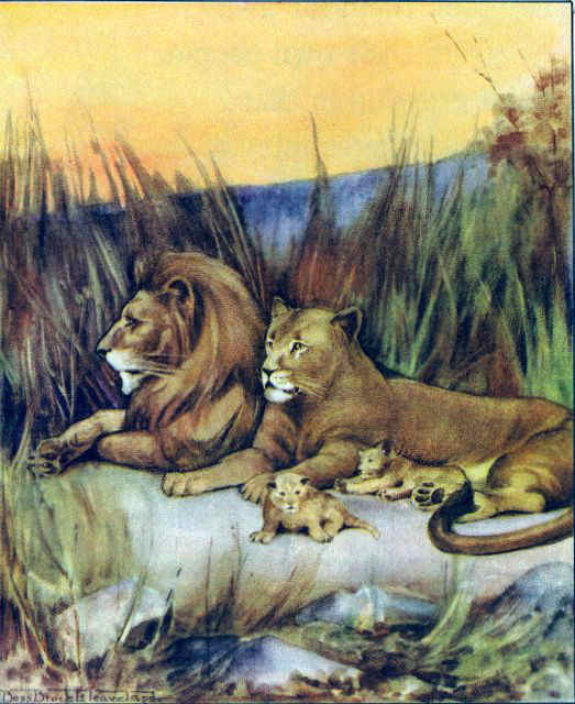 Nah0211 The Dwelling of Lions.jpg