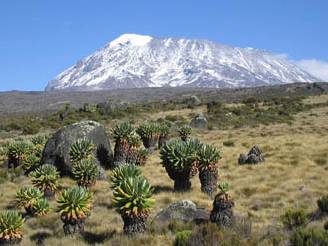 un_Kilimanjaro.jpg