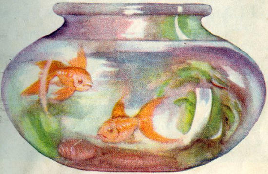 Job1208 The Fish of the Sea will Explain to You.jpg