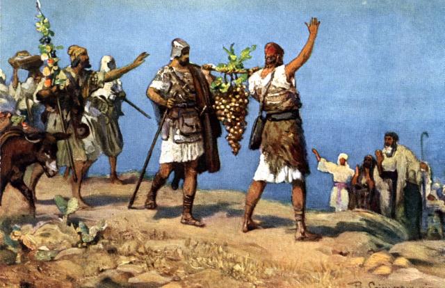 Num1323-A cluster of grapes so large that two men carried it02.jpg