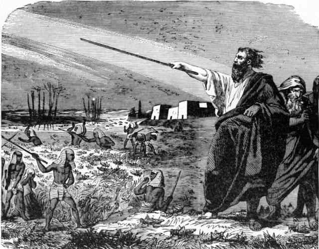 Exo1004-The plague of locusts.jpg