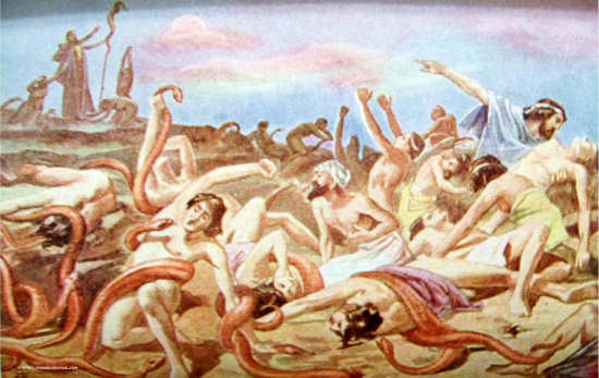 Num2109 The curse and the cure.jpg