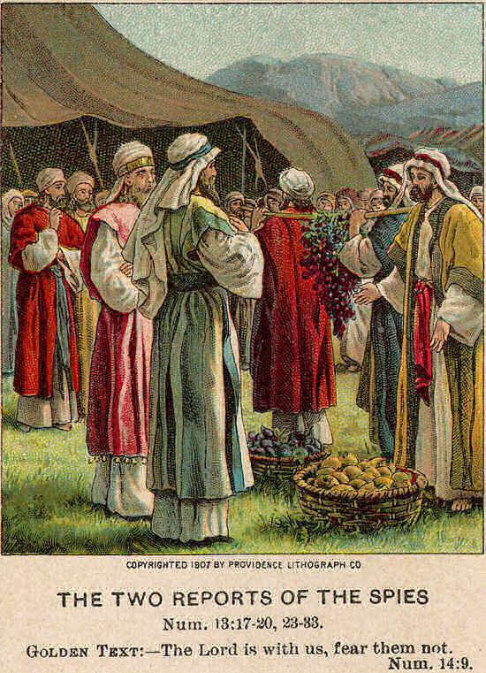 Num1317-20 The two reports of the spies1.jpg