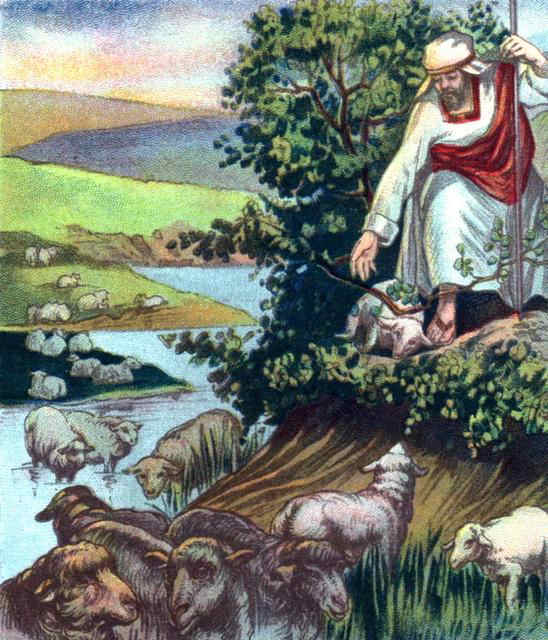 Eze3422-Therefore will I save my flock_ and they shall no more be a prey.jpg