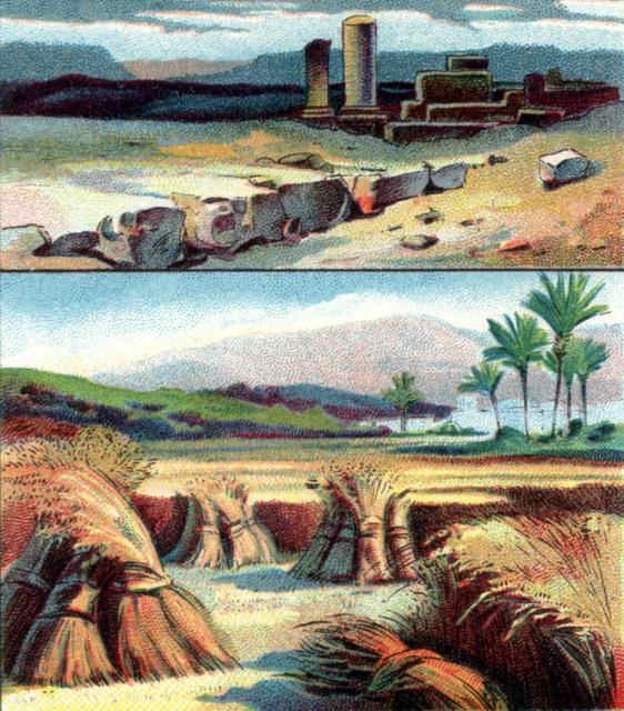 Eze3626-A new heart also will I give you.jpg