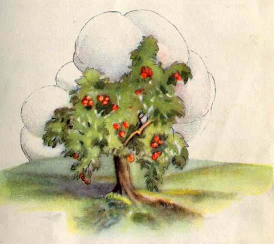 Song0203 An Apple Tree Laden with Fruit.jpg