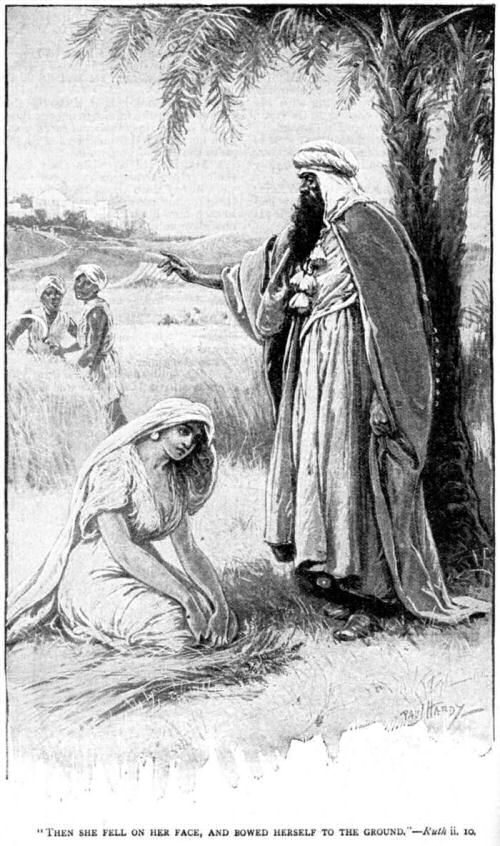 Ruth_2_10.jpg